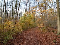 IMG_20251122_102439167