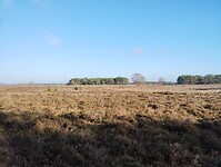 IMG_20251126_131809720