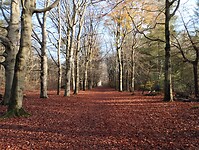 IMG_20251126_124630097