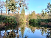 IMG_20251126_112856025_HDR