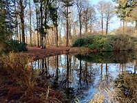 IMG_20251126_112825884_HDR