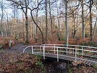 IMG_20251126_111143386