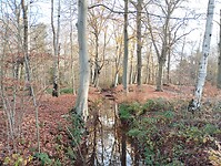 IMG_20251126_111125163