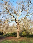 IMG_20251126_110354832