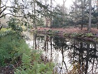 IMG_20251126_110156018