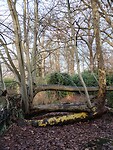 IMG_20251126_110022078