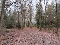 IMG_20251130_134847114