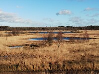 IMG_20251130_125018469