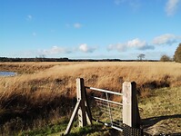 IMG_20251130_121255819
