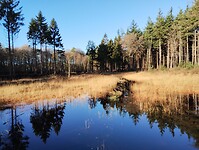 IMG_20251130_103718724