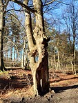 IMG_20251130_103215094_HDR