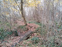 IMG_20251210_150042322