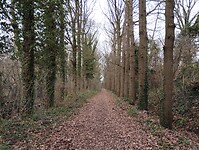 IMG_20251210_145353968