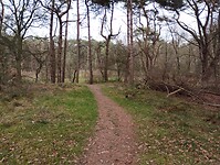 IMG_20251210_143659592