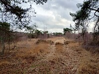 IMG_20251210_134128836_HDR