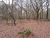 IMG_20251210_123740752