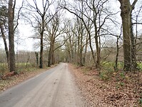 IMG_20251210_123408232