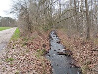 IMG_20251210_123009262