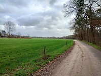 IMG_20251210_121547909_HDR