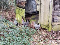 IMG_20251210_115835488