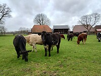 IMG_20251210_115555027_HDR
