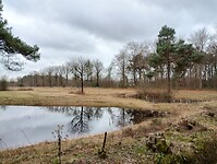 IMG_20251210_114723582_HDR