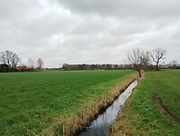 IMG_20251210_113108665