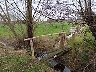 IMG_20251210_113047620