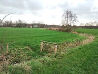 IMG_20251210_111524424