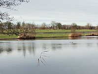 IMG_20251219_132456806