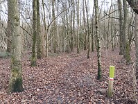 IMG_20251219_132029829