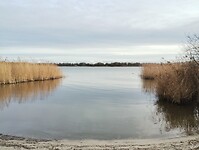 IMG_20251219_130045433