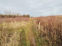 IMG_20251219_125443438