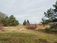 IMG_20251219_124859374