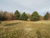 IMG_20251219_124627289