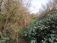 IMG_20251219_123457869
