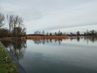 IMG_20251219_123235021