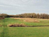 IMG_20251219_122640441