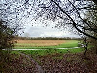 IMG_20251219_121527161_HDR