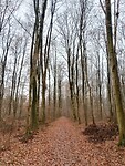 IMG_20251219_110752381_HDR