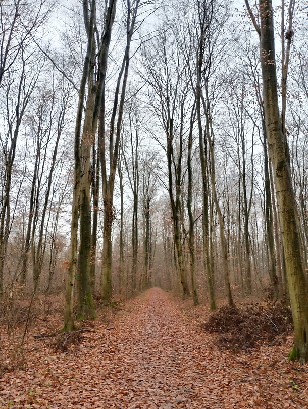IMG_20251219_110752381_HDR