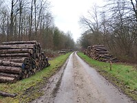 IMG_20251219_110428544