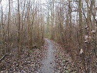 IMG_20251219_110110629