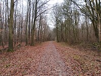 IMG_20251219_104946379