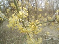 IMG_20260312_141532449