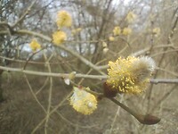 IMG_20260312_140932097