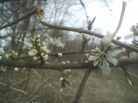IMG_20260312_140835194