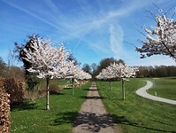 IMG_20260320_133637467