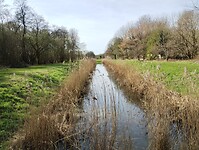 IMG_20260320_132656460
