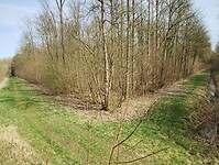 IMG_20260320_122803471